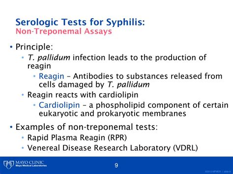 syphilis reverse serology